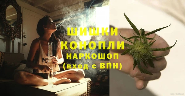 мдпв Бронницы