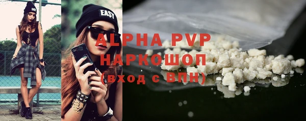 PSILOCYBIN Бородино