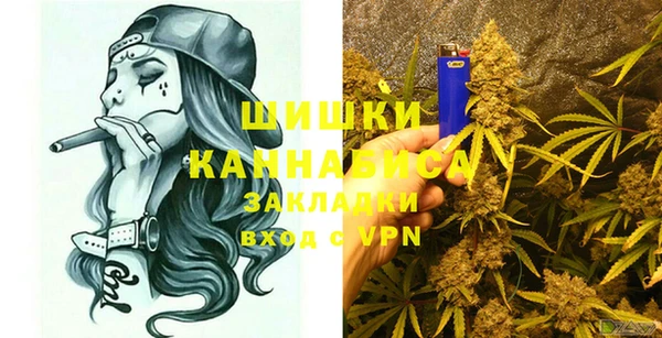 мдпв Бронницы