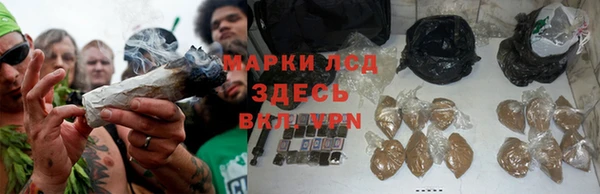 мдпв Бронницы