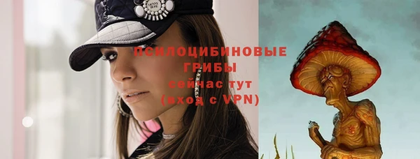 PSILOCYBIN Бородино