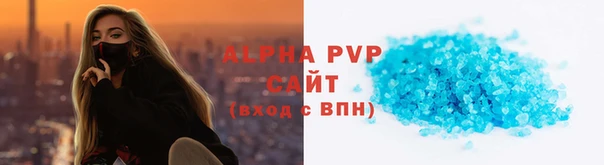 PSILOCYBIN Бородино