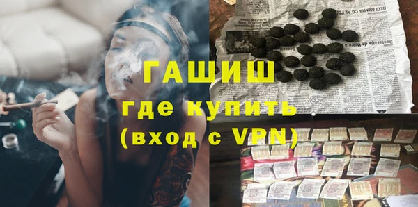 PSILOCYBIN Бородино