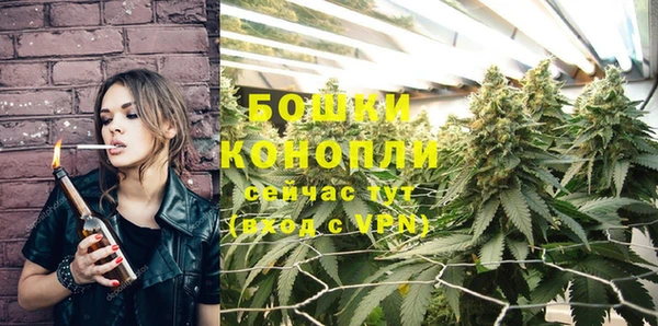 PSILOCYBIN Бородино