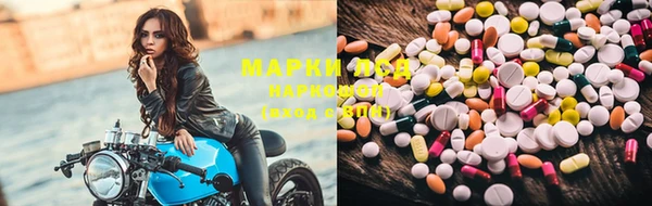PSILOCYBIN Бородино
