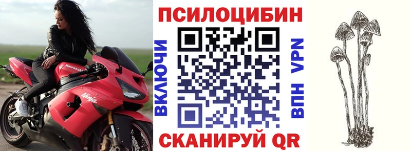 Псилоцибиновые грибы ЛСД Касли